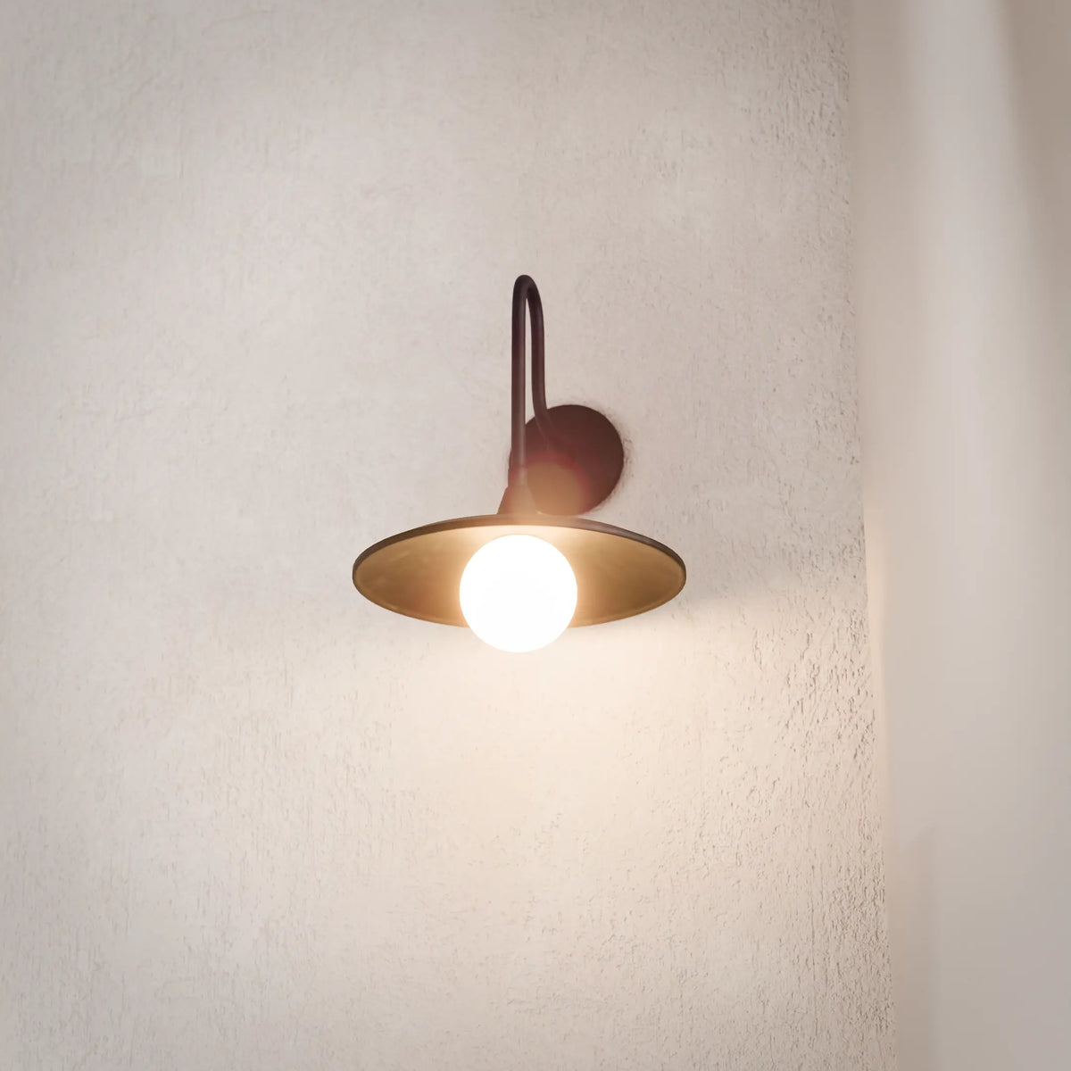 Cove Wall Light