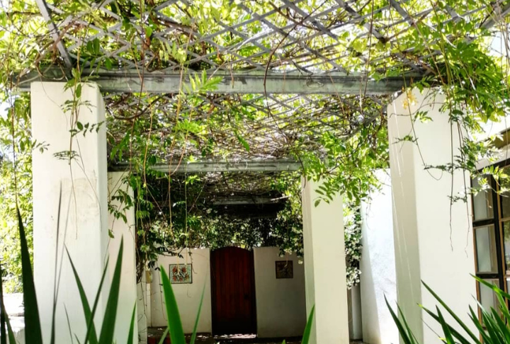 How to Transform Outdoor Spaces Using Metal Pergola Structures